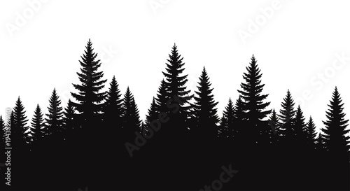Silhouette of a dense evergreen forest at dusk.