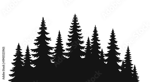 Silhouette of a dense forest of pine trees against a white background.