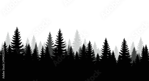 Silhouette of a dense evergreen forest landscape at dusk.