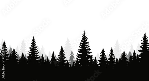 Silhouette of a dense evergreen forest landscape at dusk.