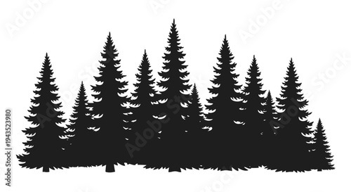 Silhouette of a Dense Pine Forest with Tall Evergreen Trees.
