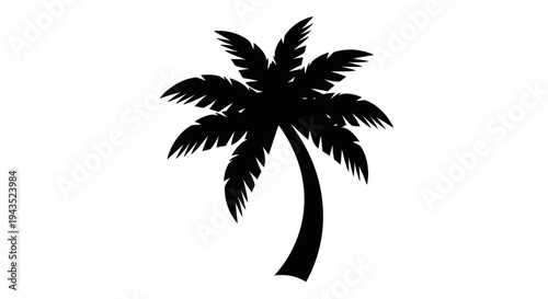 Silhouette of a Tropical Palm Tree Against a White Background.