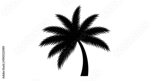 Silhouette of a Tropical Palm Tree with Fronds.