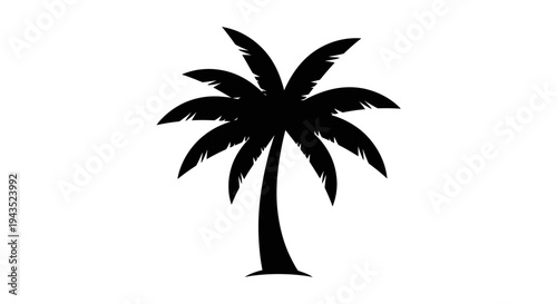 Silhouette of a Tropical Palm Tree with Fronds.