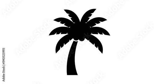 Silhouette of a Tropical Palm Tree with Fronds.