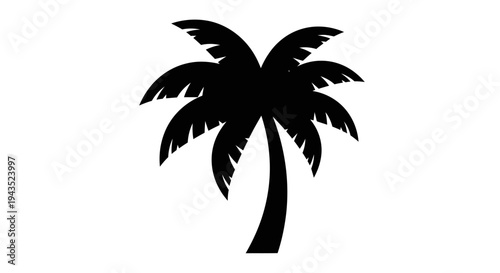 Silhouette of a Tropical Palm Tree with Fronds.