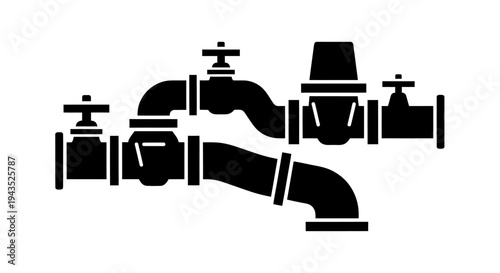 Industrial Plumbing System with Valves and Regulator.