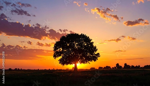 A silhouette of a solitary tree stands in a field against a vibrant sunset sky filled with hues of orange and purple