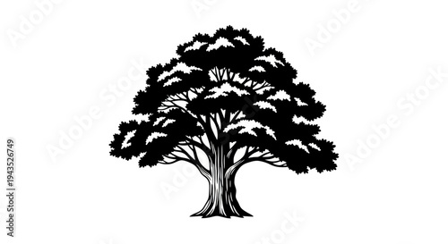Majestic Oak Tree Silhouette Vector Illustration on White Background.