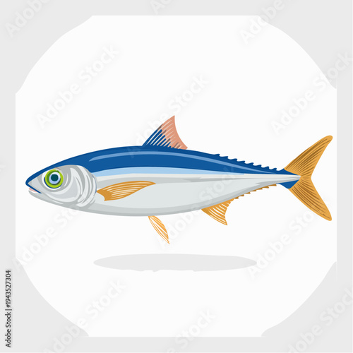 Anchovy Fish Vector Illustration Isolated on White Background Small Sea Fish Graphic for Seafood Design