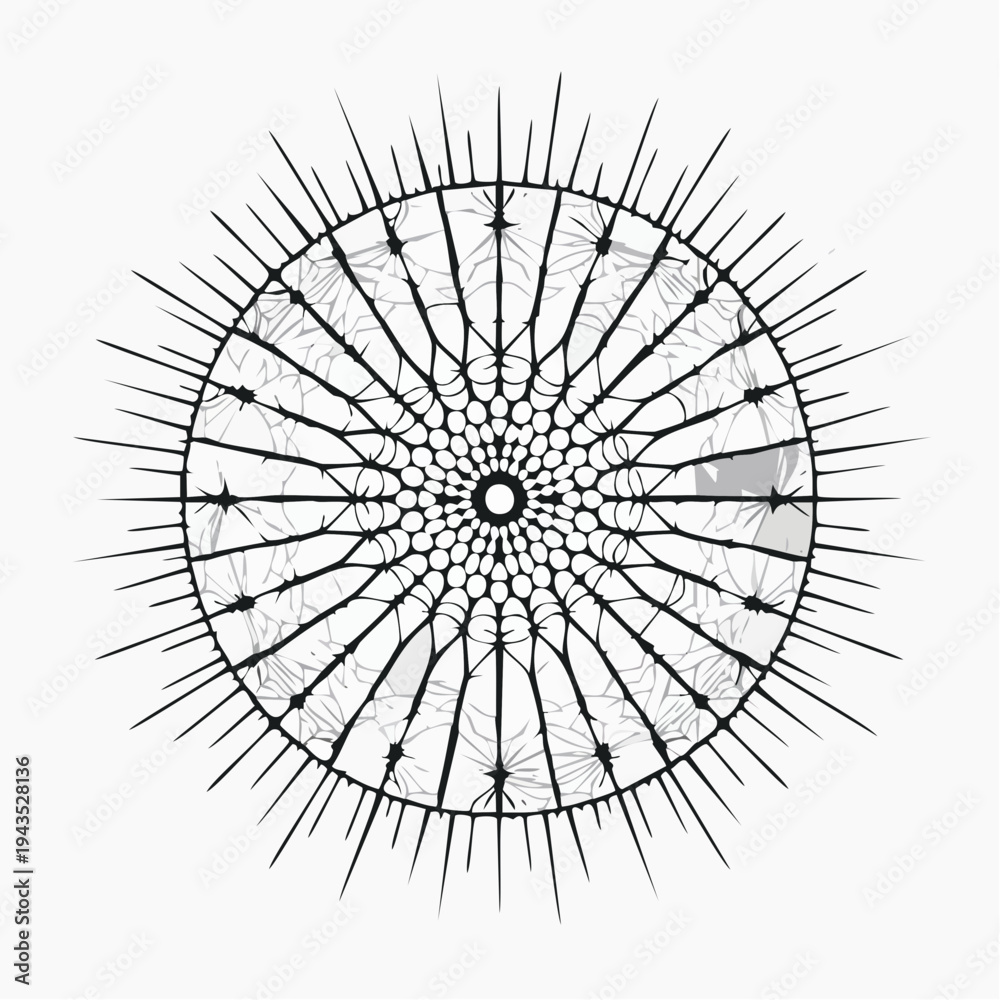 Obraz premium Abstract Radial Spine Icon Representing Echinopora Coral Texture and Organic Circular Pattern with Symmetrical Geometric Lines for Minimalist Graphic Design and Scientific Visualization