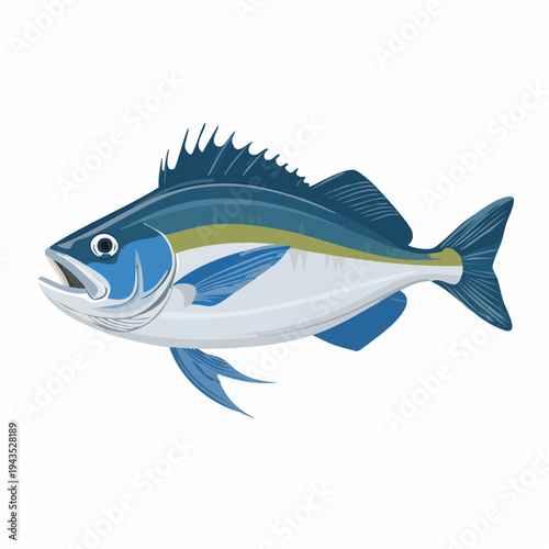 Detailed Vector Illustration of a Remora Fish Isolated on White Background, Suckerfish Marine Life Aquatic Animal Design Element