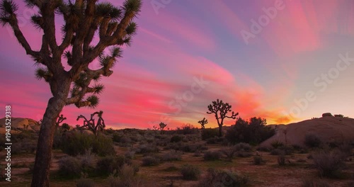 Gorgeous Pink Sunrise Sunset Dawn Dusk Joshua Tree Timelapse