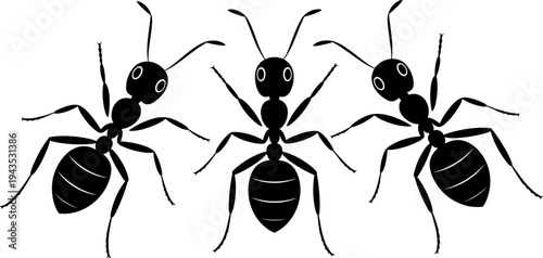 Ant insect silhouette collection with detailed ant anatomy poses isolated, entomology biology vector set for pest control, ecology study and insect illustration design