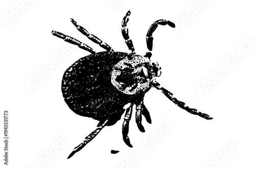 vector borne disease insect vector illustration