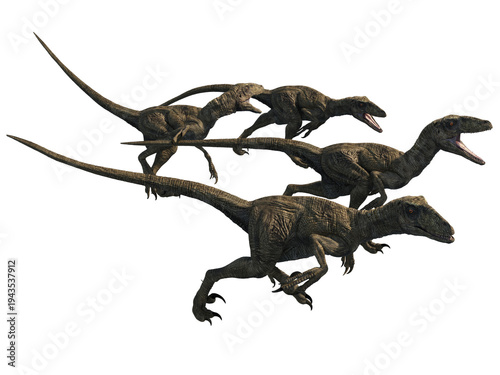 Deinonychus velociraptor dinosaur 3d render