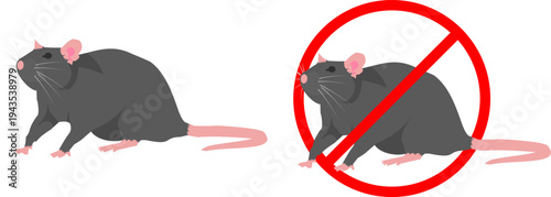 Set of Rat Pest Control Icon Vector Rodent Symbol