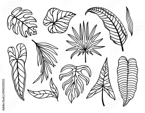 Tropical plants vector illustration set. Monstera, banana, fan palm leaves. Black and white clipart, isolated botanical sketch. Exotic liana, anthurium leaf. Houseplant silhouette, simple drawing
