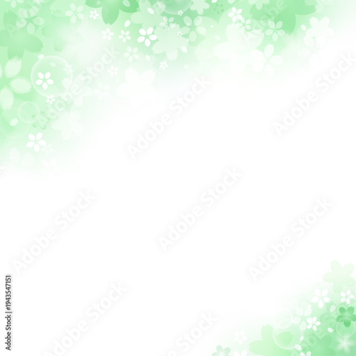 桜の春背景 グリーングラデーション 和風さくらバナーテンプレート | 正方形 スクエア 対角フレーム ベクター素材	
