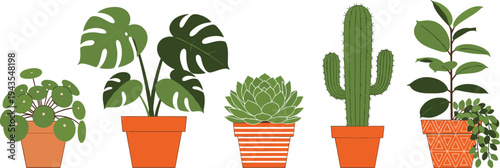 Collection of potted houseplants including monstera, cactus, succulent and decorative foliage plants, colorful indoor gardening illustration set for home decor and botanical design