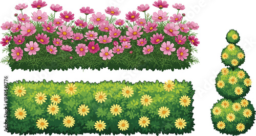 Colorful garden flower bushes and decorative topiary shrub set, blooming pink and yellow blossoms isolated illustration for landscaping design, park decoration, botanical garden elements