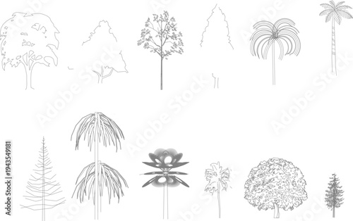 Technical landscape architectural drawing showing various tree species in elevation view including deciduous trees, palms, conifers and shrubs in black and white line art