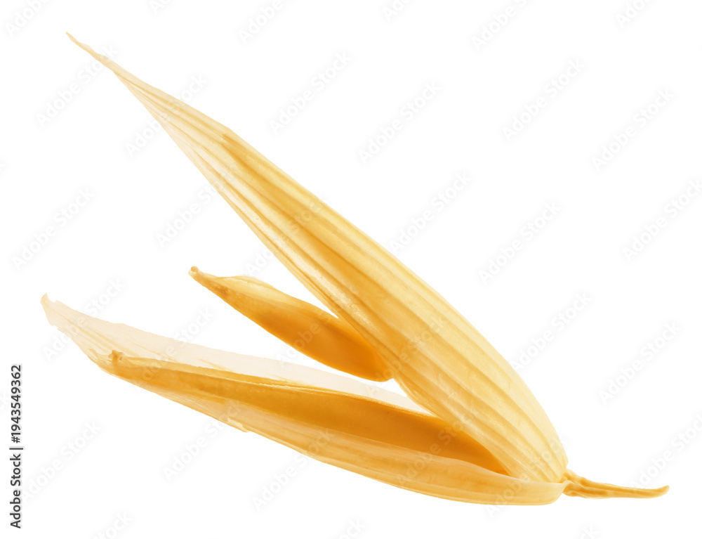 Fototapeta premium Oat grain with husk isolated on white