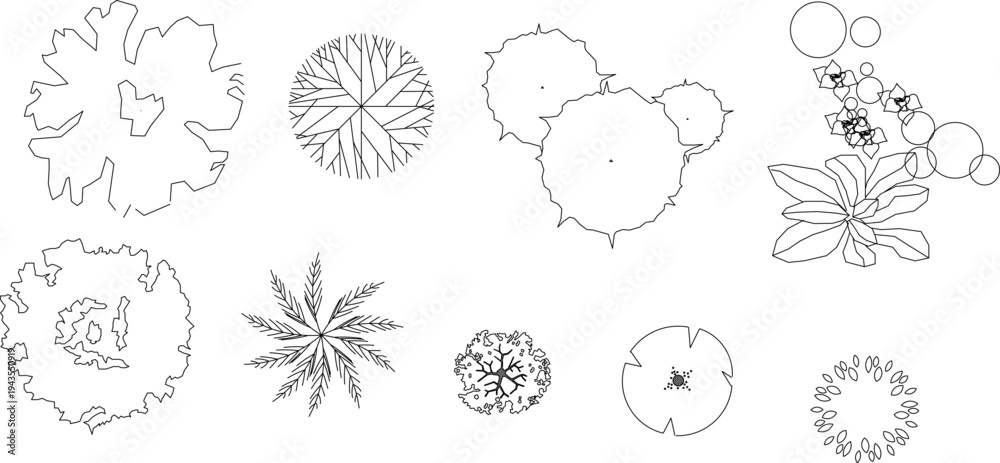 Fototapeta premium Technical landscape architectural drawing showing various plants and trees in plan view including deciduous trees, palms, shrubs and flowering plants in black and white line art.