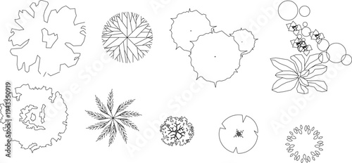 Technical landscape architectural drawing showing various plants and trees in plan view including deciduous trees, palms, shrubs and flowering plants in black and white line art.