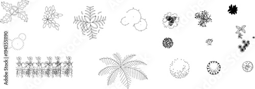 Technical landscape architectural drawing showing various plants and trees in plan view including shrubs, ferns, palms and ground cover vegetation in black and white line art.