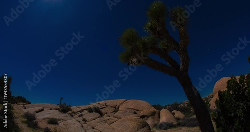 Moonlit Joshua Tree Clear Night Sky Timelapse 4K Silhouette Backlit Jumbo Rocks