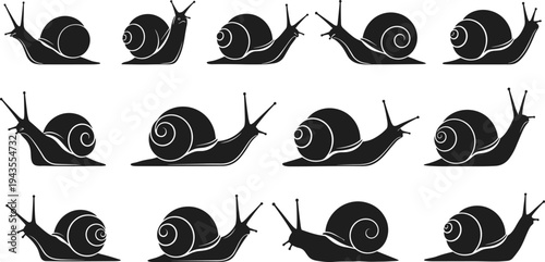 Snail silhouette vector set, crawling garden snail poses collection, wildlife mollusk illustration, black snail icons isolated on white background