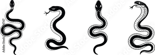 Snake silhouette vector illustration collection, venomous reptile art, dangerous serpent design, black and white wild animal drawing, tattoo graphic style concept