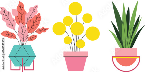 Modern colorful potted houseplants vector illustration set featuring decorative foliage and flowering plants in stylish pots, flat design indoor botanical elements isolated on white background