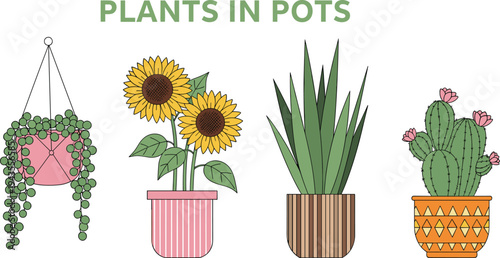 Plants in pots collection featuring hanging plant, sunflower, snake plant and cactus in decorative containers minimalist botanical vector illustration isolated on light background
