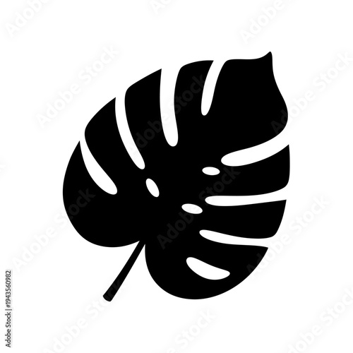 Monstera leaf silhouette black shape.