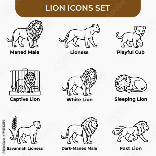 Lion Icon Set: A collection of meticulously crafted line art icons showcasing various facets of the majestic lion. From a maned male to a playful cub.