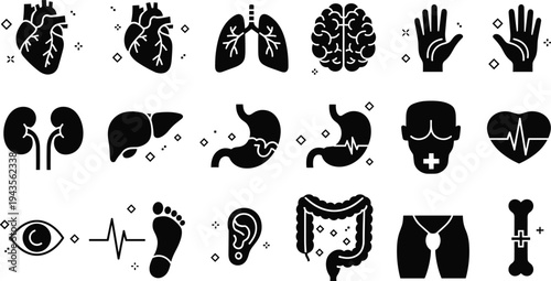 Human anatomy internal organs vector icon set including heart lungs brain stomach intestines kidneys bone and medical healthcare symbols
