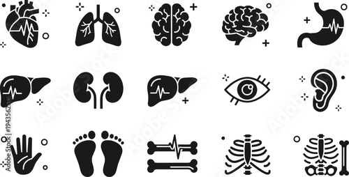 Human internal organs vector icon set featuring heart lungs brain stomach liver kidneys eye ear and skeletal system elements