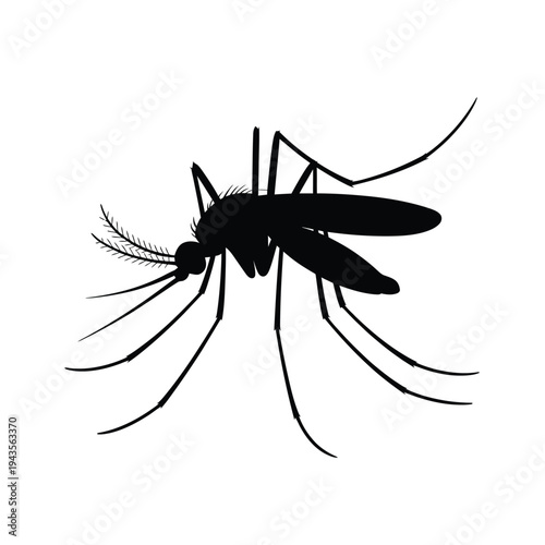 A detailed silhouette of a mosquito showcasing its delicate wings and form