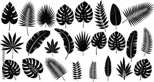 Black tropical leaves silhouette collection set isolated on white background, botanical foliage elements, jungle plants, cad drawing flat vector illustration