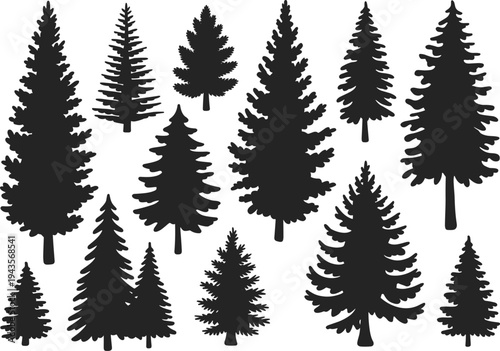 WebConiferous tree silhouettes, pine fir spruce shapes, diverse forest forms, natural woodland, outdoor landscape, eco environment, design element, flat vector illustration