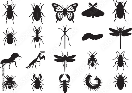 Vector Silhouette Collection of Insects, Beetles, Butterflies, Spiders, Ants, and Dragonflies in Detailed Scientific Profiles