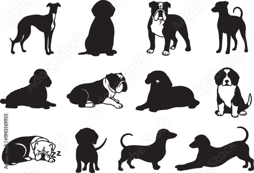 Vector Silhouette Collection of Popular Dog Breeds Including Bulldog, Greyhound, Poodle, and Dachshund in Various Poses
