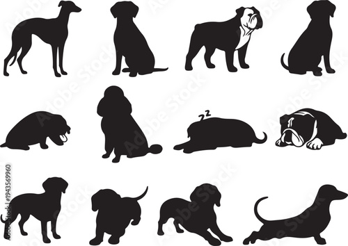 Vector Silhouette Collection of Popular Dog Breeds Including Bulldog, Greyhound, Poodle, and Dachshund in Various Poses

