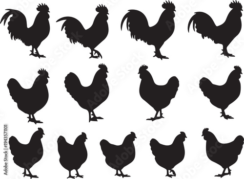 Vector Silhouette Collection of Roosters and Chickens in Various Farm Poses and Profiles
