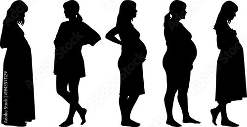Pregnant woman silhouette set, pregnancy stages standing poses collection, expectant mother profile vector illustration isolated on white background maternity concept