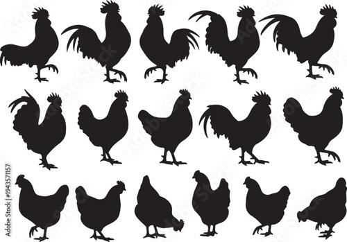 Vector Silhouette Collection of Roosters and Chickens in Various Farm Poses and Profiles