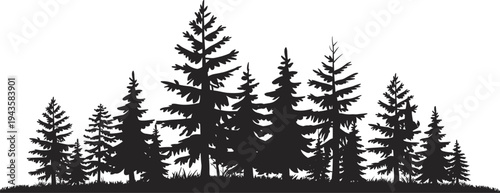 WebForest edge silhouette, coniferous trees, pine fir woodland, natural landscape, wilderness scenery, outdoor nature, evergreen environment, tranquil design, eco background, artistic illustration