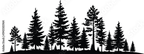 WebForest silhouette illustration, coniferous trees, pine fir woodland, natural landscape, wilderness scenery, outdoor nature, evergreen environment, tranquil design, eco background, artistic concept
